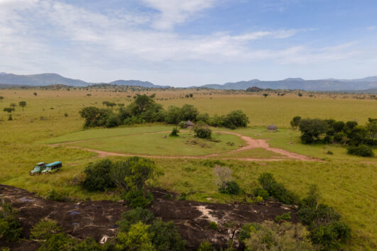 7 Day Wildlife Big 5 Gorillas and Chimpanzees Safari