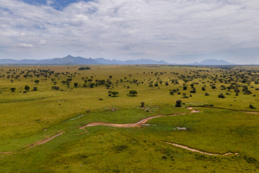 3 Day Safari to Queen Elizabeth National Park