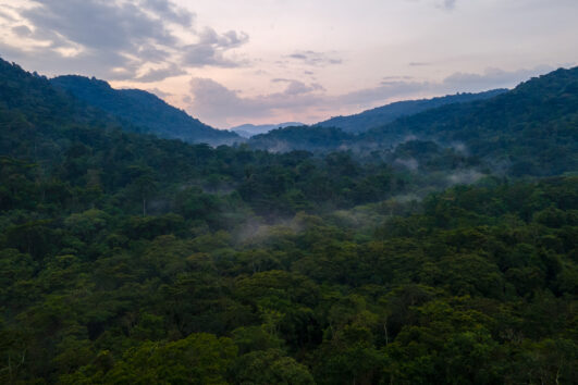 10 Days Best of Uganda Safari with Primates